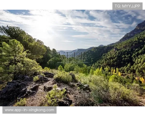 阿尔卡拉斯刷新个人纪录，未来可期，阿尔卡拉斯山脉
