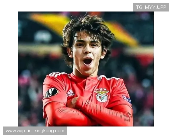 本菲卡球员团结，球队化学反应显著提升