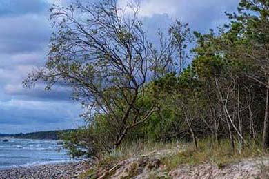 2025年冰雪运动会，冰上飞驰点燃激情，2020冰雪运动会视频