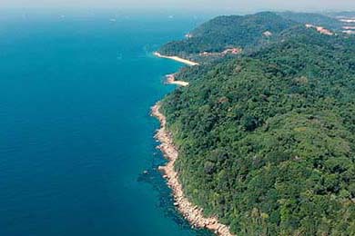 Aster季后赛对阵形势分析，季后赛阵容